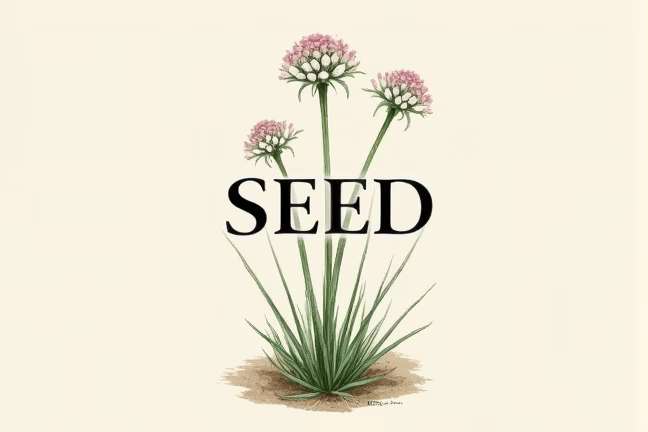 seed of 08b73753337f4ee6aa6be861c73064f8