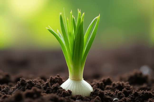 seeding of 313e00ed4c914aa58fd46030ce7f1a09