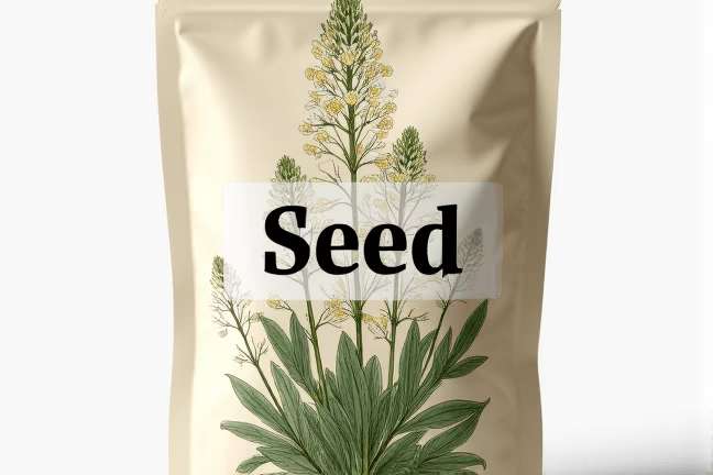 seed of 3609b376daf34c76bad395355230fac7