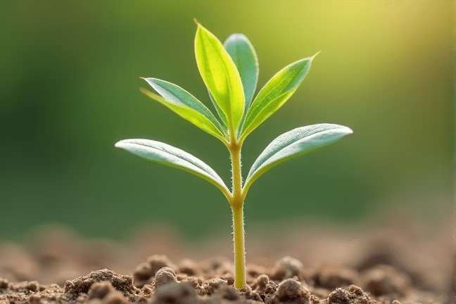 seeding of 46c2607d94d442339ed2534f8f0927f6