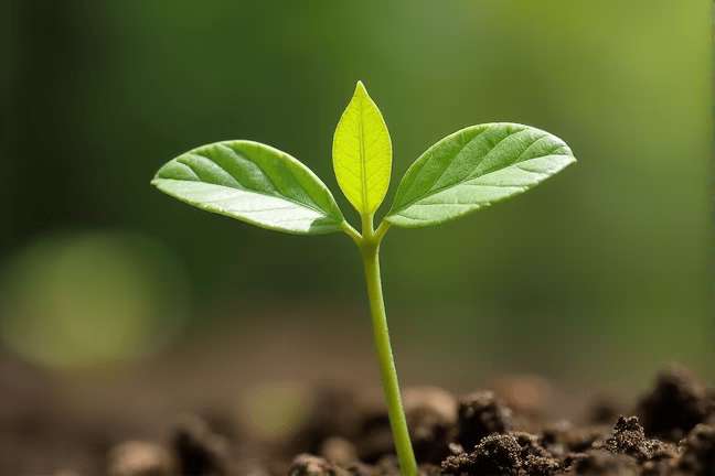 seeding of 49a7b0740c4c4498b6136dad767101d1