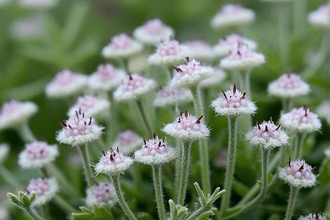 final_maturity of 66be3c75765745b1b14a7cd94c11c9b7