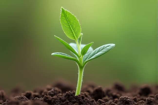 seeding of 73911f45ce3f49ed94900ad3e6630339