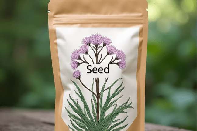 seed of 79b72d93cf47485cb76ec9c2c6346056