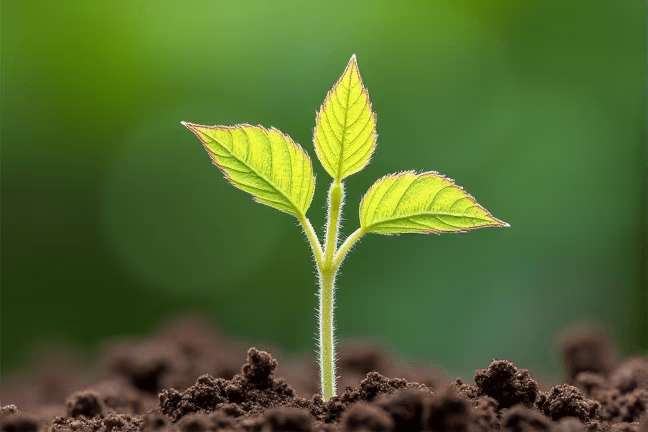 seeding of afb250bef80449d3acf7c82e5e6b1e83