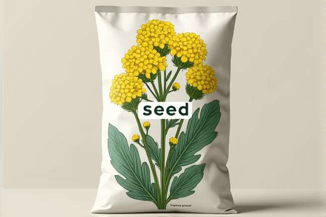 seed of b4300f183bf0443ba68c8473bbc87528