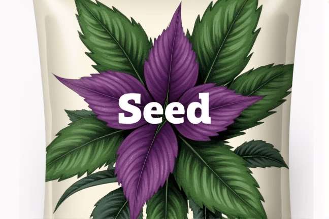 seed of bda8f3718fde4370a924232463b8b67e