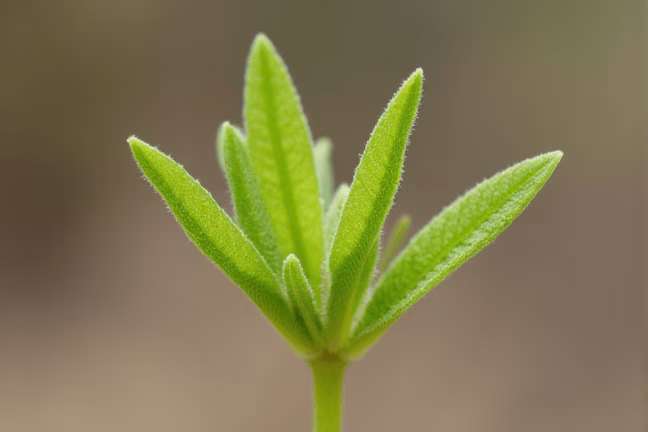 seeding of d311bf5c07de40889f894c3cef5f609b