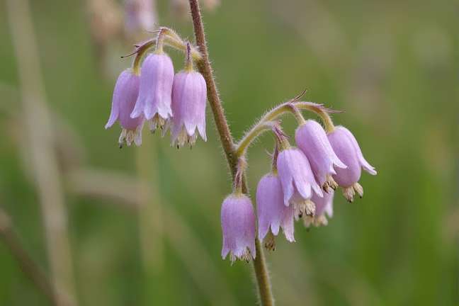 final_maturity of e5f5813f160c4bbabb0a5d8cc4ec76b5