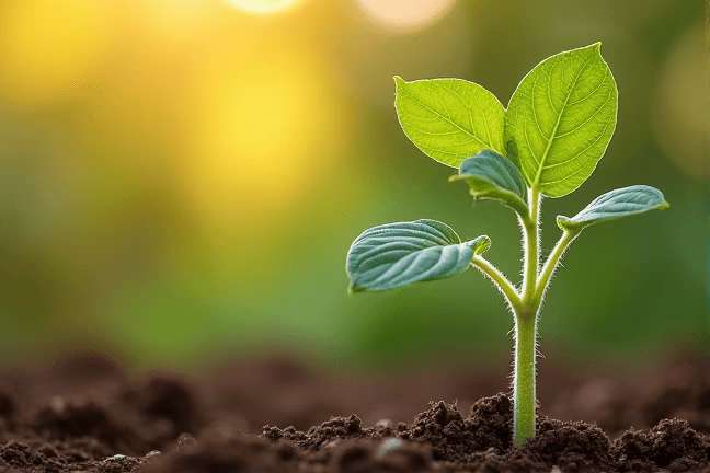 seeding of f5dae15580d344349542ea5924ff2820