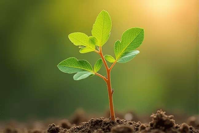 seeding of f729ec0b33e14f5e8150fff321ae3553